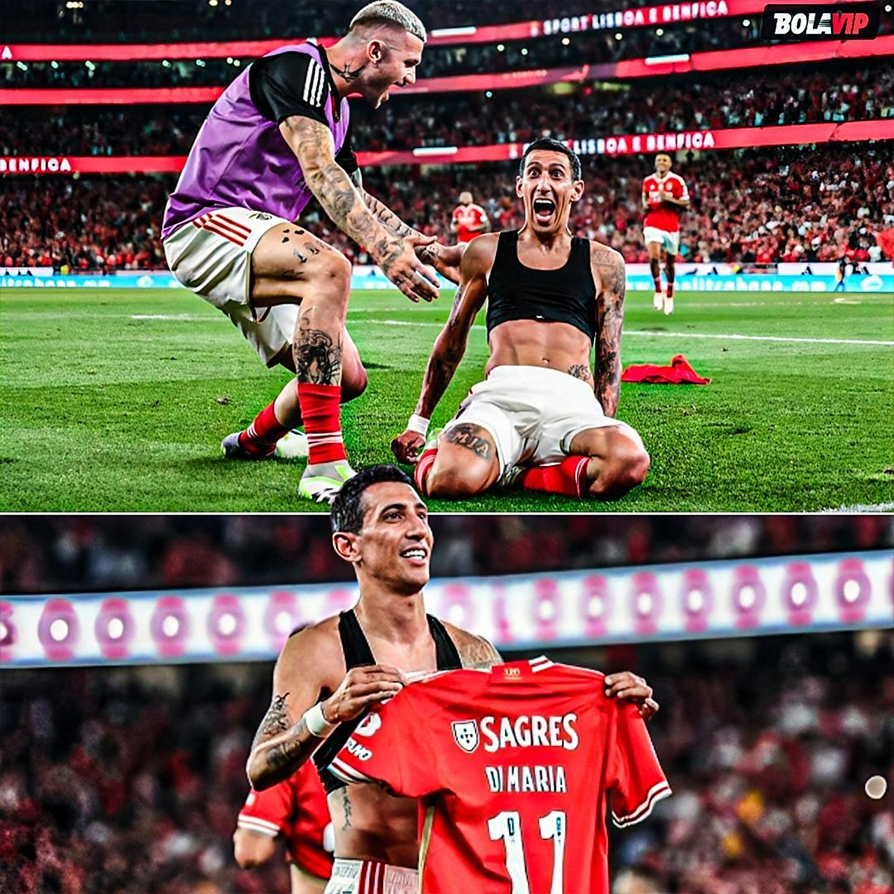 包含赛前速览：法网八强战本菲卡对阵波尔图，三大看点值得期待的词条